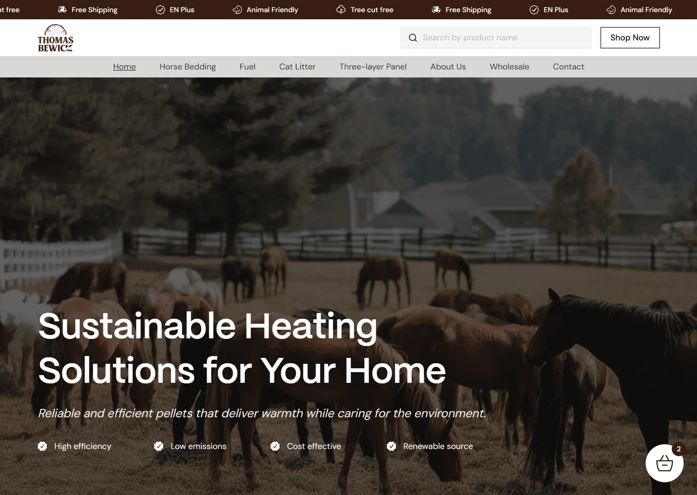 thomasbewick project preview
